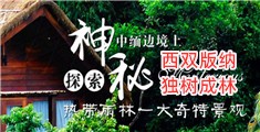 欧美大鸡儿日逼