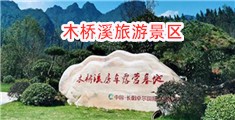 大鸡巴插骚逼影院